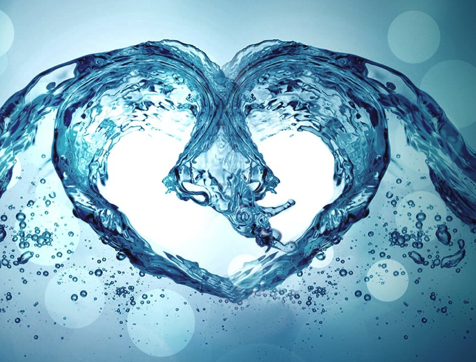 Avatar for Ohana Wai